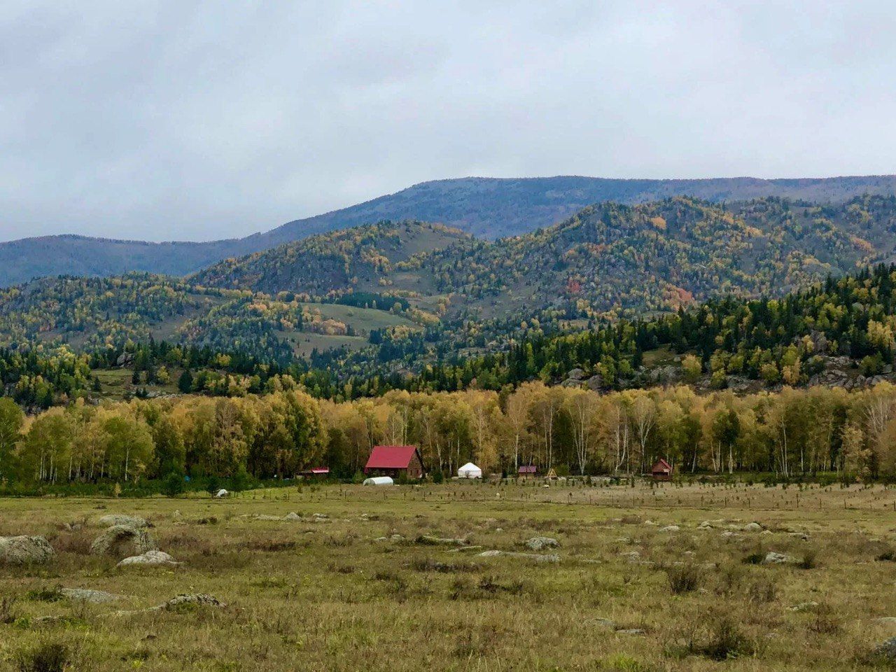 Осенний луг у базы