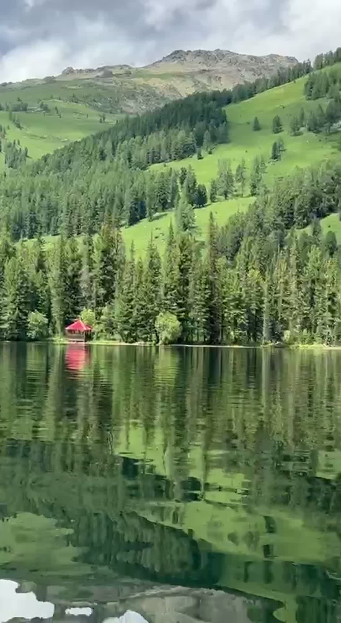 Горное озеро в предгорьях (видео)